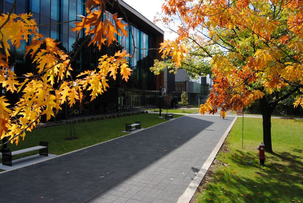UTM Campus in the fall.